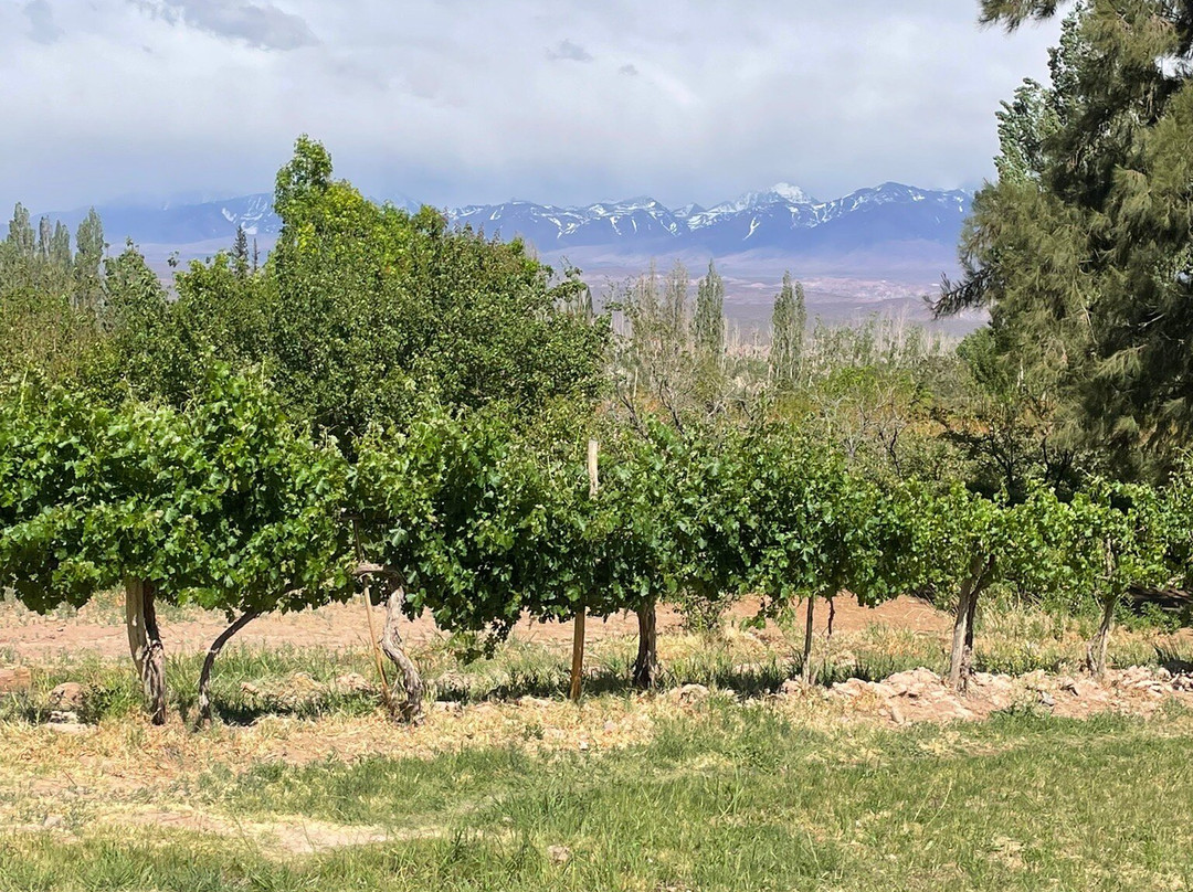 Bodega Entre Tapias-Barreal必去景点