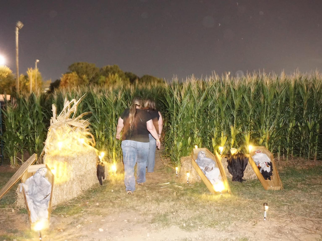 The Dark Zone Haunted House-Brandon必去景点