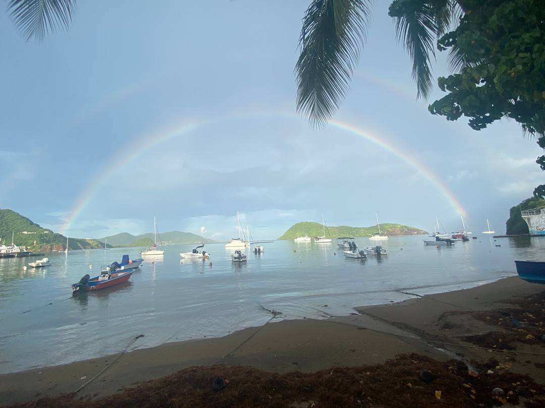 Les Hamacs Aux Saintes
