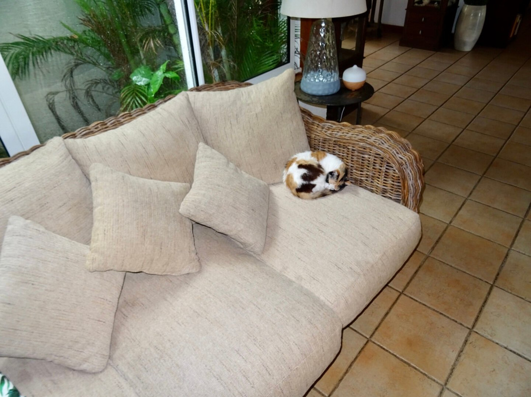 Shanti Ghar Guest House主图