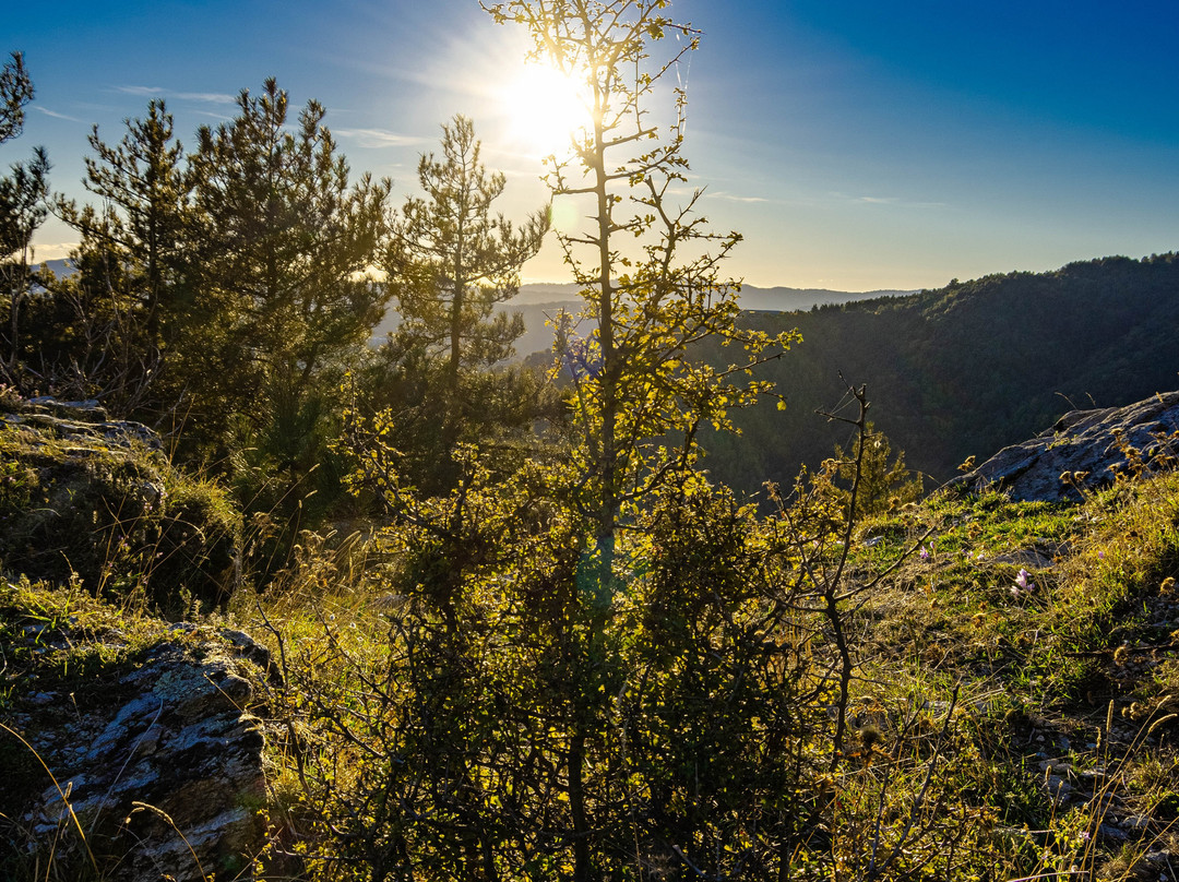 Torre Baiolardo - Il Torrazzo
