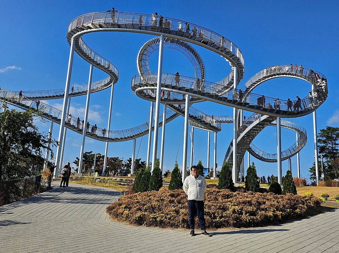 Hwano Park Space Walk-浦项市必去景点