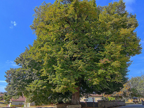 Église Notre-Dame à Melleran
