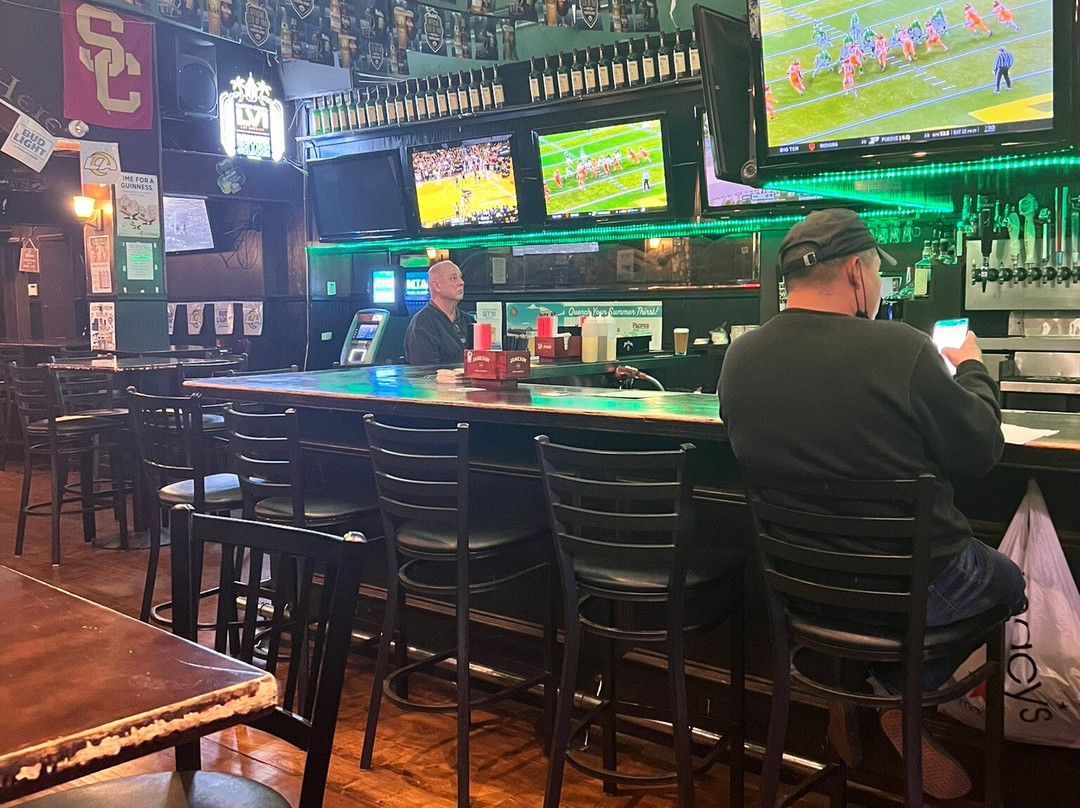 Dublins Irish Whisky Pub-洛杉矶必去景点