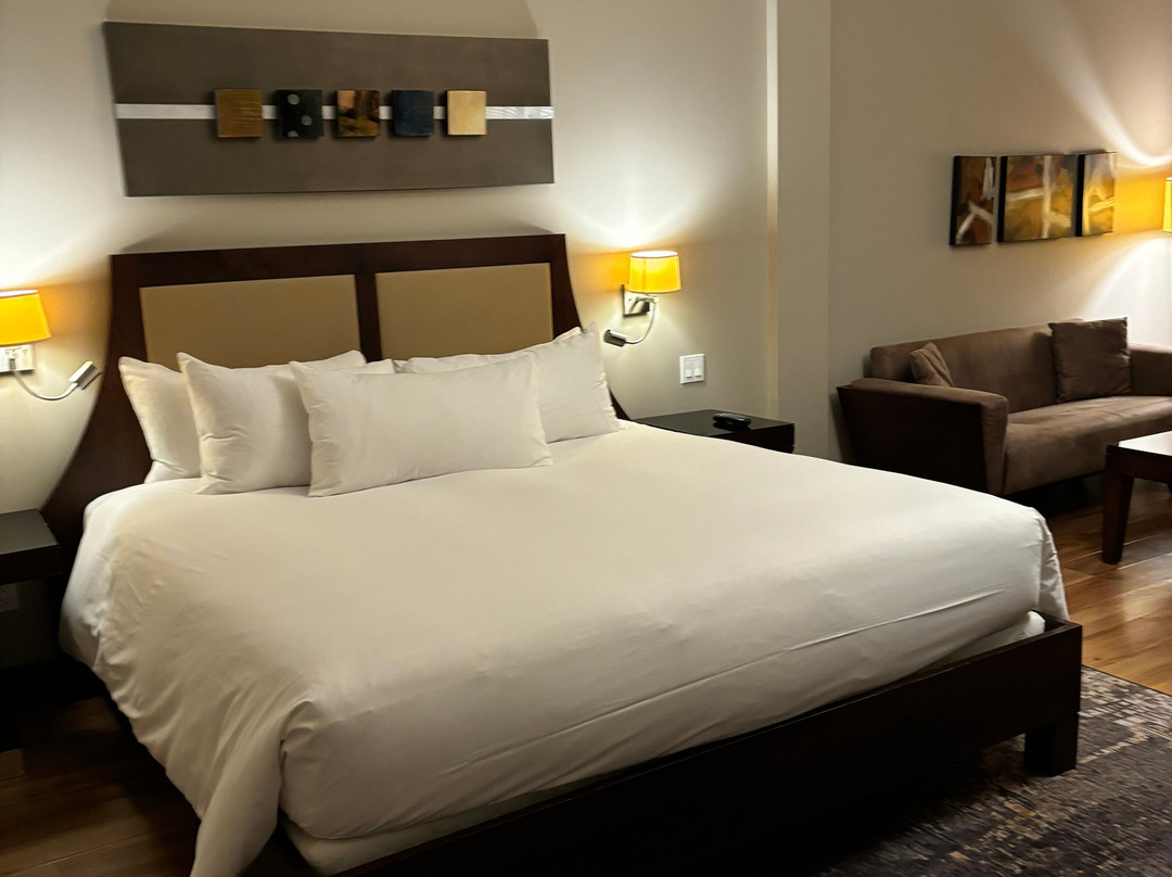 Hotel Nelligan主图