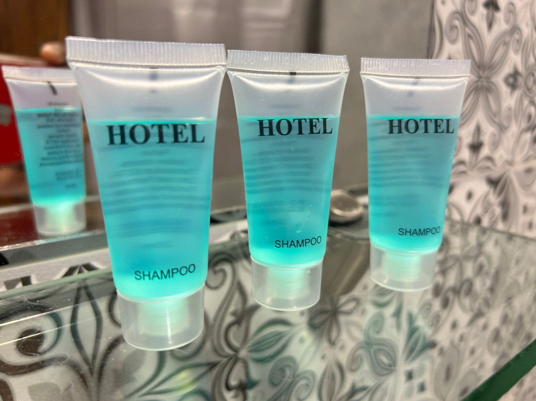 Hotel History
