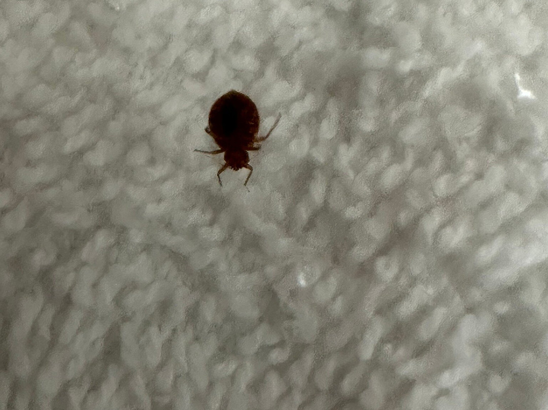 Ameristay Inn and Suites Haskell主图