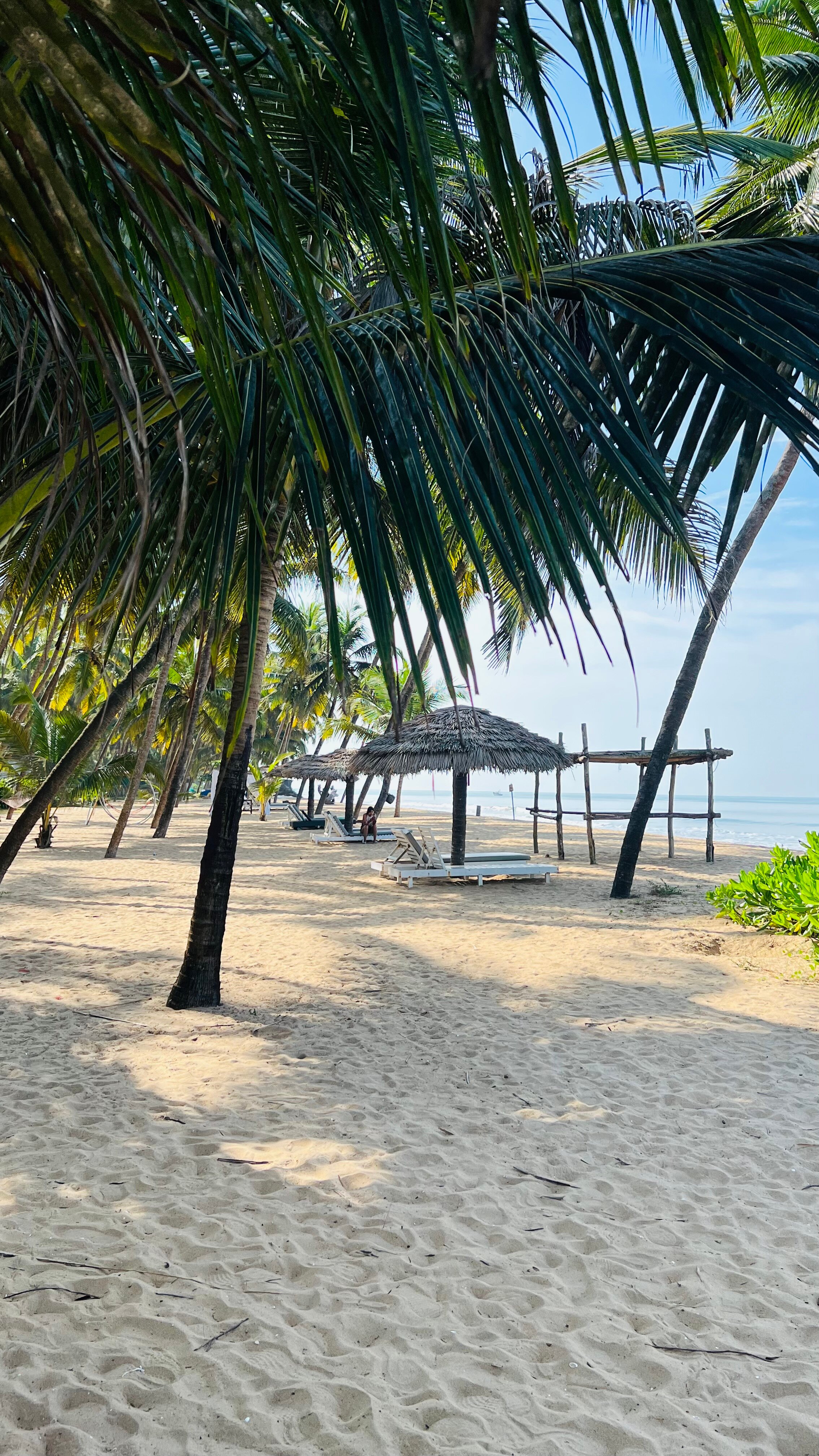 Malabar Ocean Front Resort and Spa-泳池