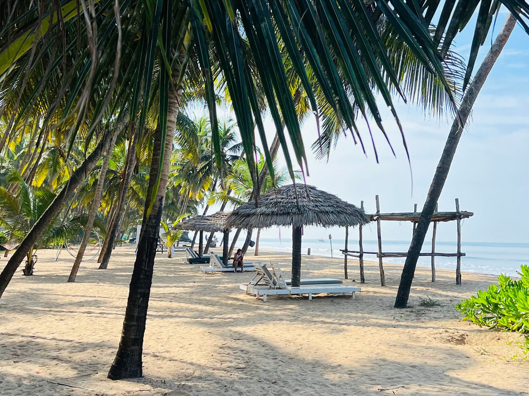 Malabar Ocean Front Resort & Spa主图