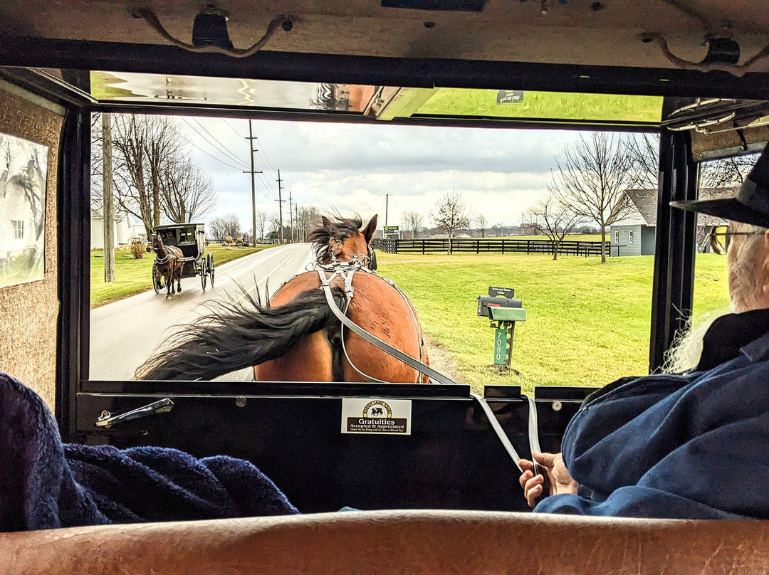 Buggy Lane Tours-Shipshewana必去景点