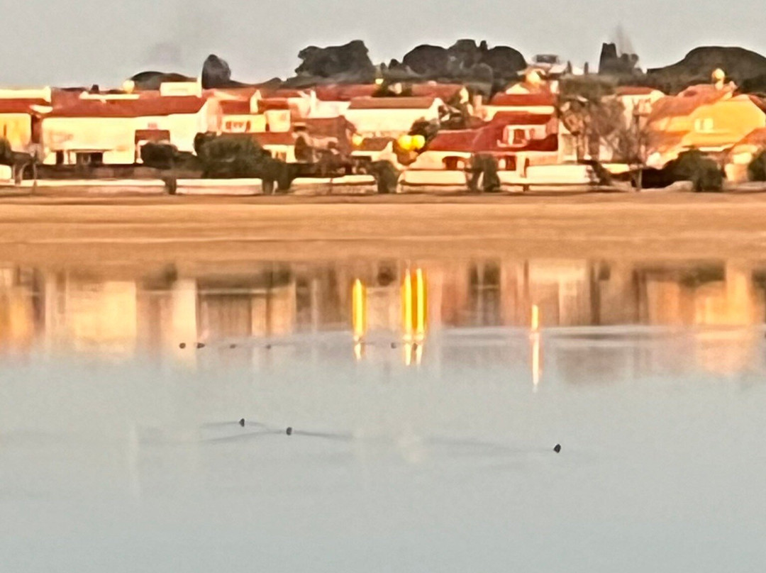 Lac de Villeneuve-de-la-Raho景点图片