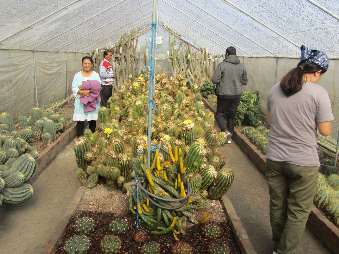 Pine View Nursery景点图片