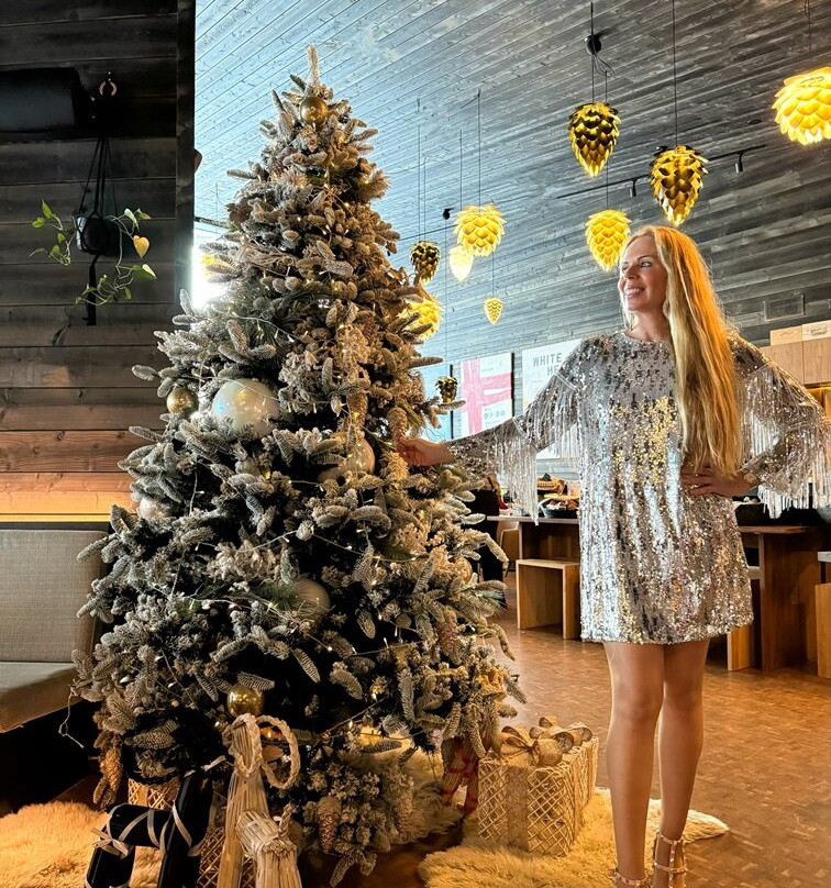 北极树屋酒店主图