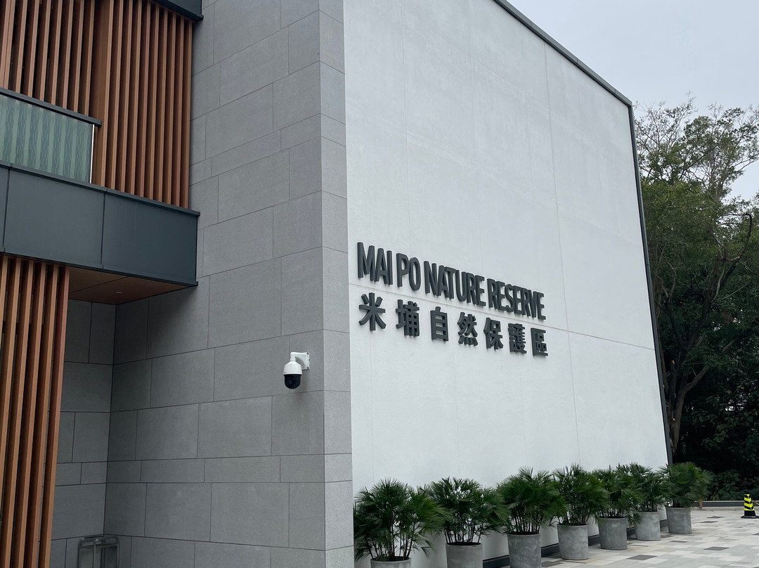 米埔自然保护区-香港必去景点