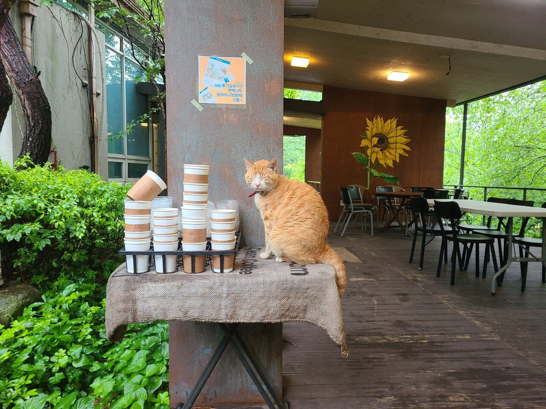 Cheongpyeong Natural Recreational Forest