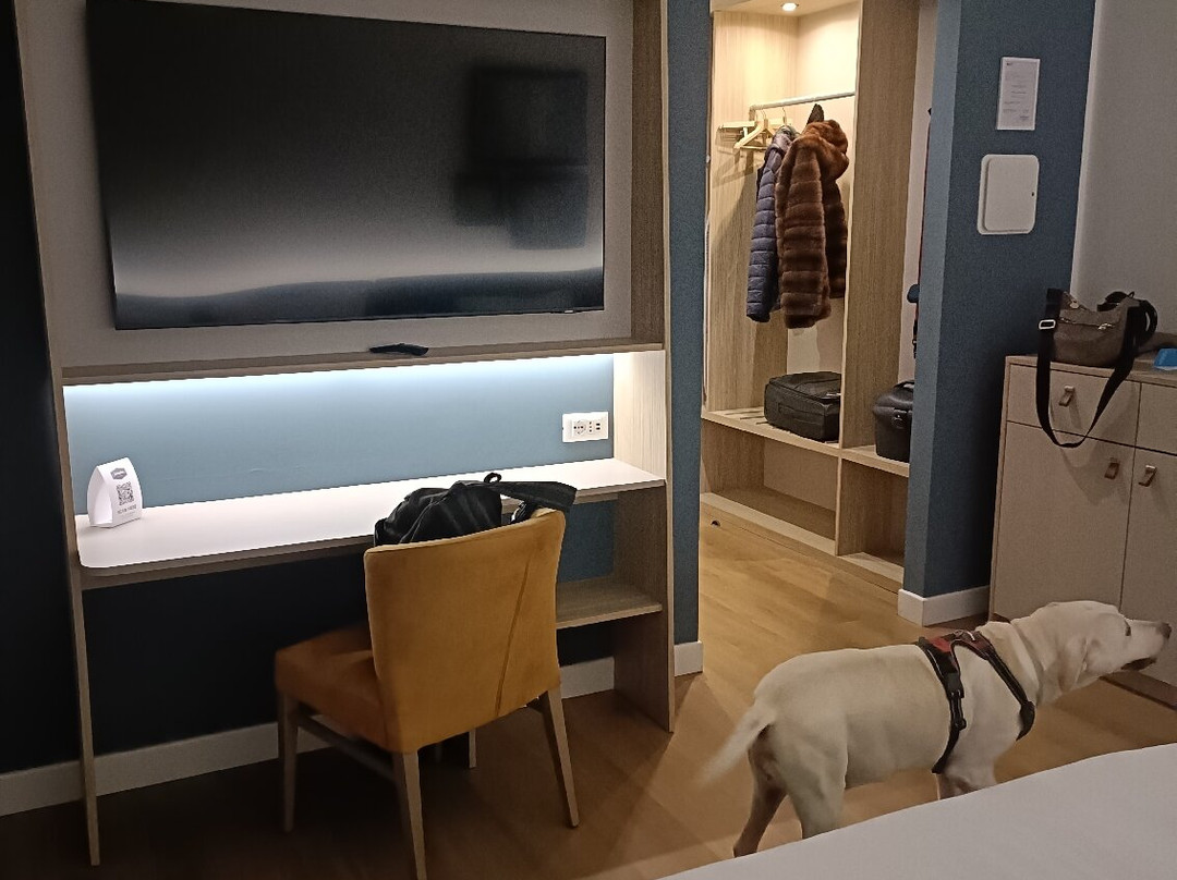 Hampton by Hilton Rome North Fiano Romano主图