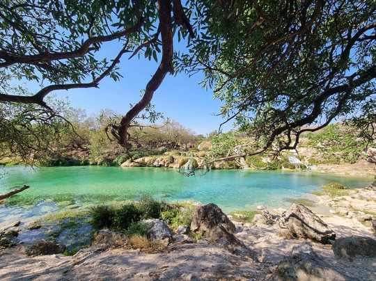 Arabian Travel Service