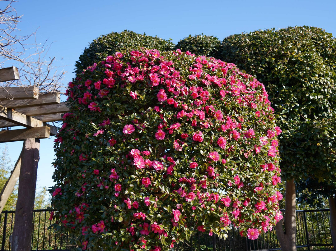 Minato Park-常陆那珂市必去景点