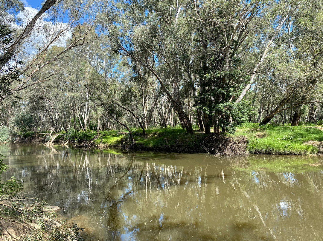 Frank Garth Reserve-Wangaratta必去景点