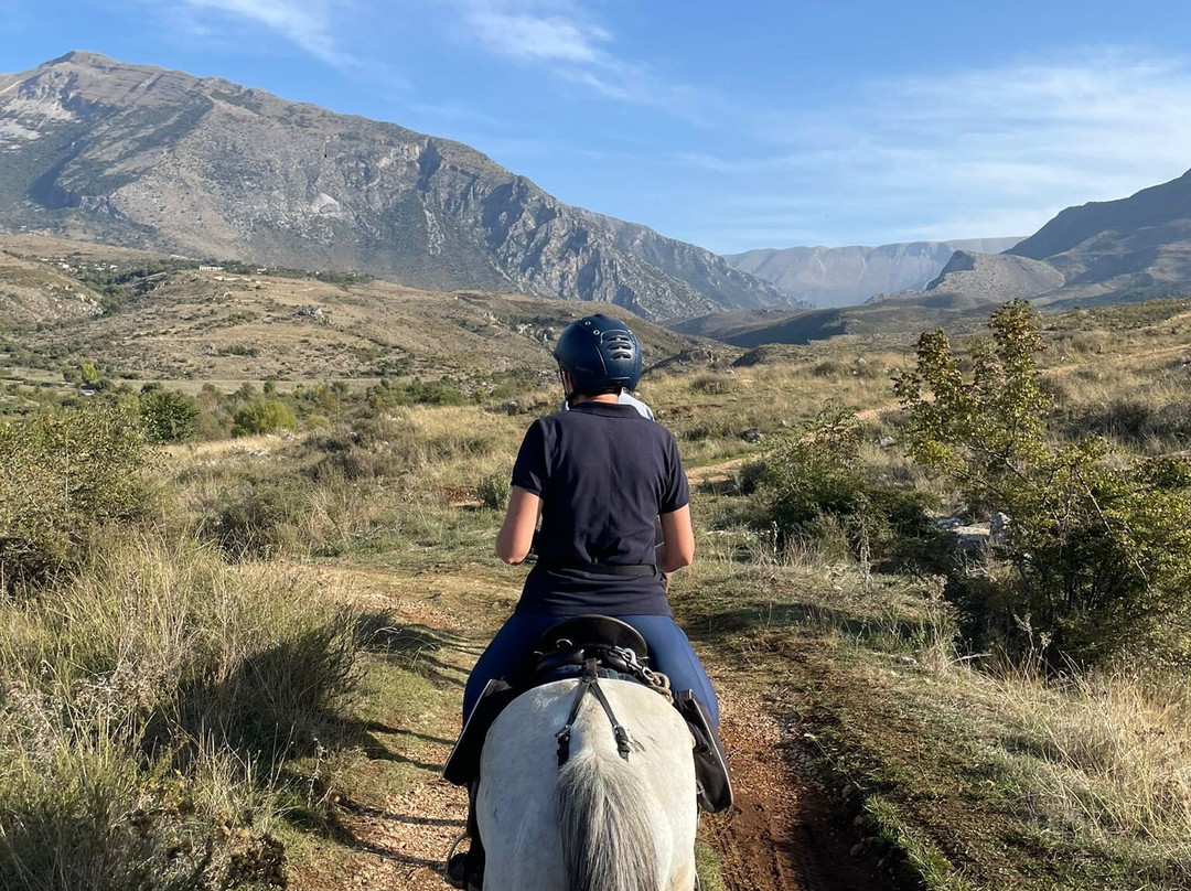 Caravan Horse Riding Albania景点图片