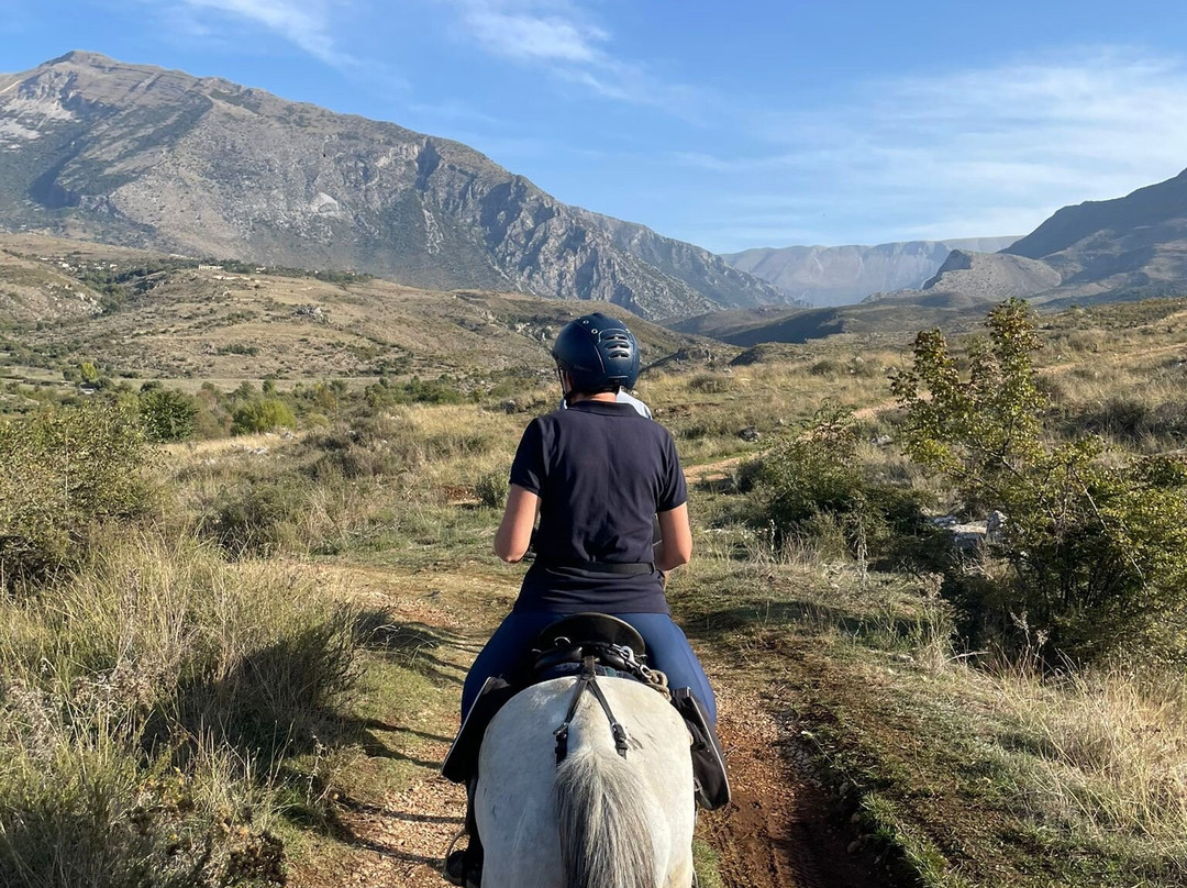 Caravan Horse Riding Albania景点图片