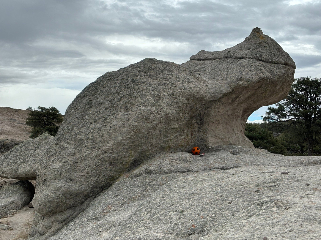 Hotel Ecologico Temazcal主图