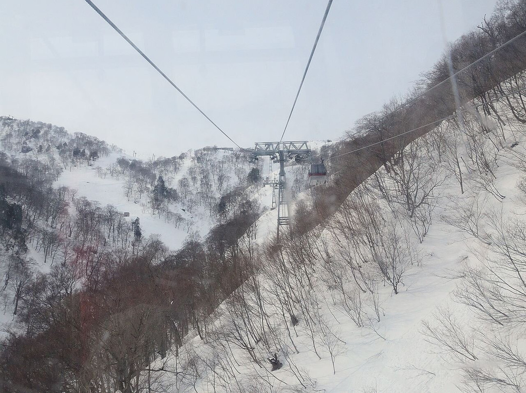 Mount Tanigawa景点图片