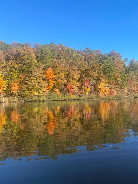 Wood Creek Lake-London必去景点