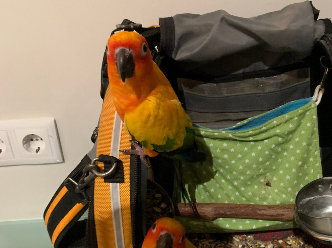 菲格雷斯公园酒店主图