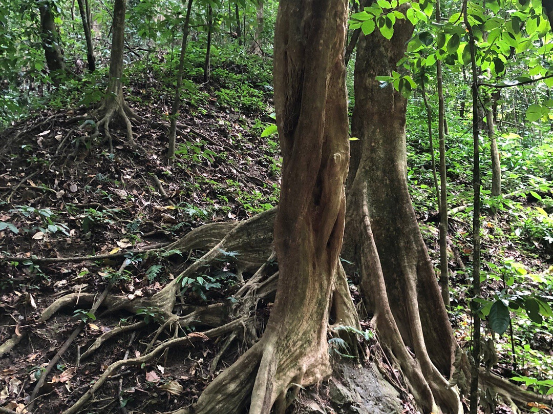 Cascade Couleuvre景点图片