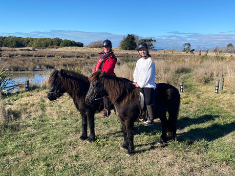 Christchurch Icelandic Horse Treks-基督城必去景点
