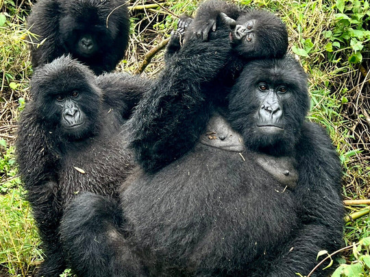 Salama Tours & Travels Agency-吉佳利必去景点