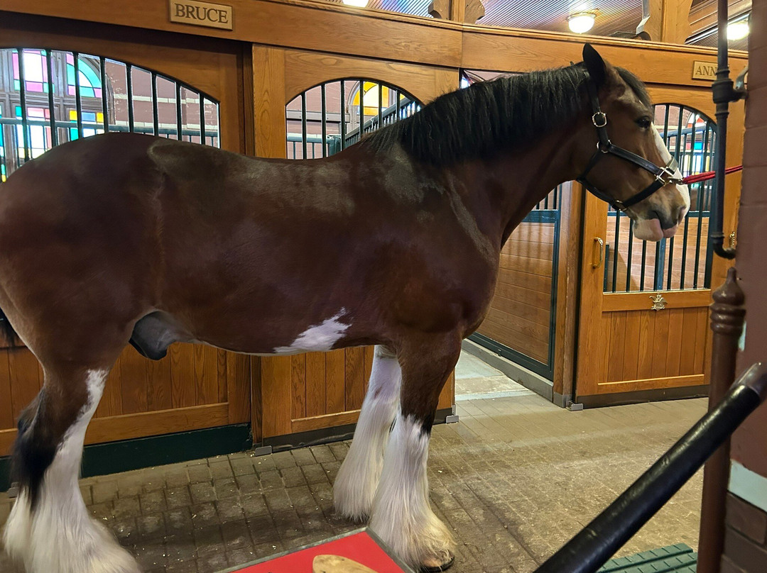 Anheuser-Busch Brewery Tours-Merrimack必去景点
