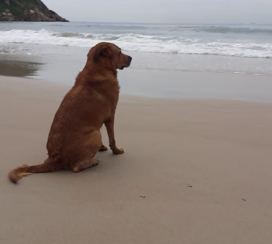 Tombo Beach景点图片