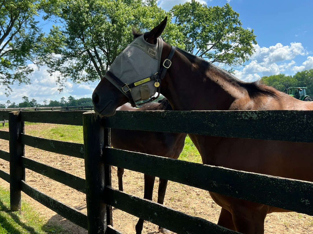 Lane's End-Versailles必去景点