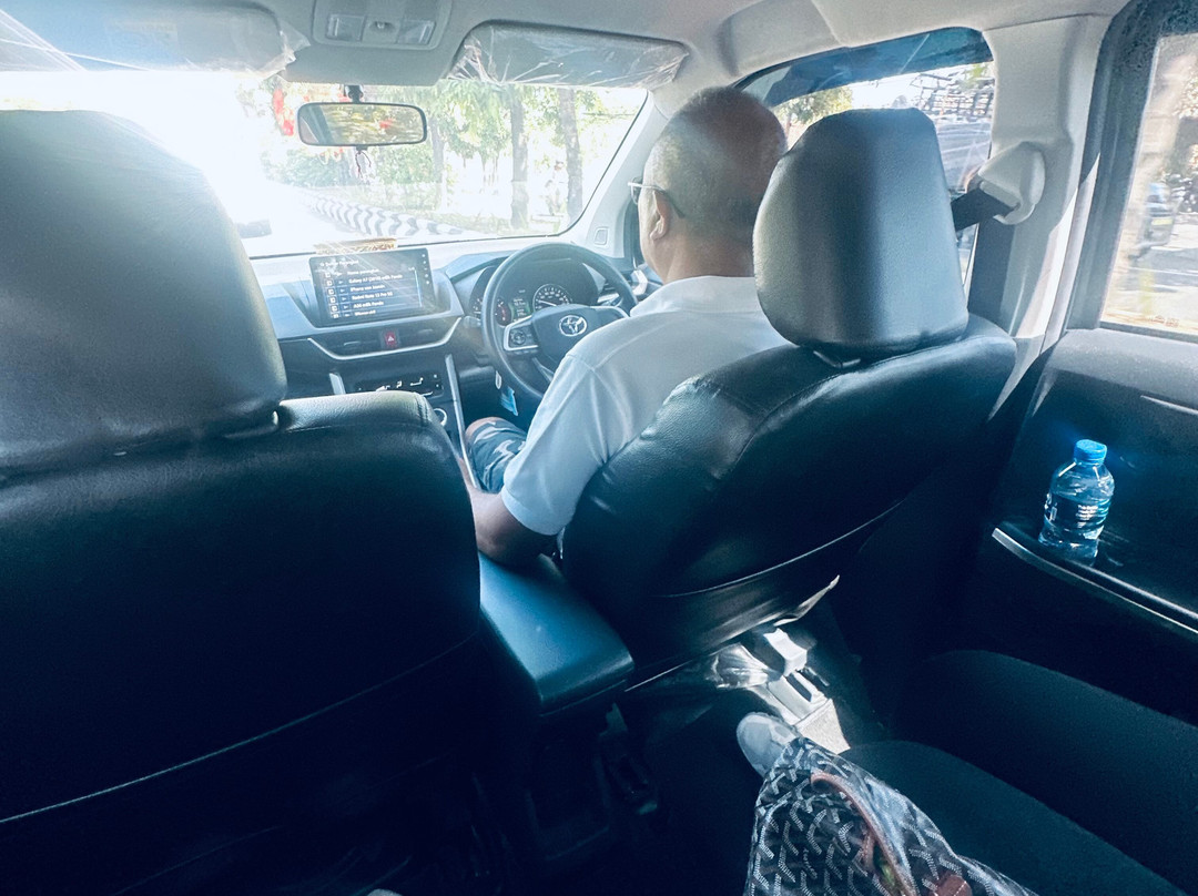 Pande Bali Driver-乌布必去景点