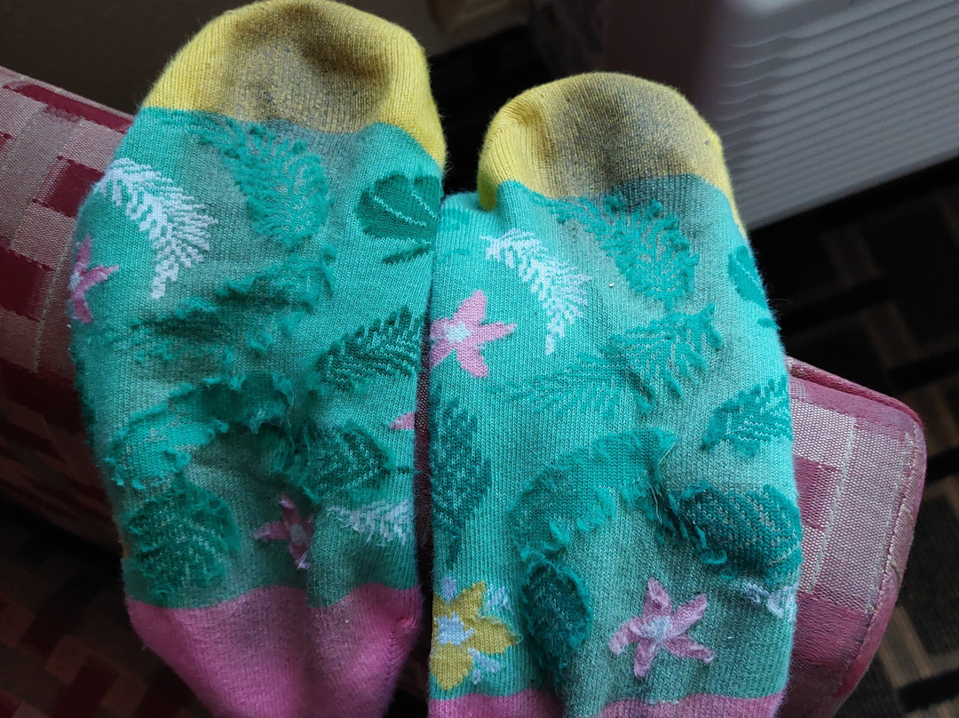 Days Inn & Suites by Wyndham Sam Houston Tollway主图