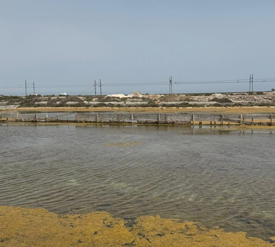 Les Salin-La Palme必去景点