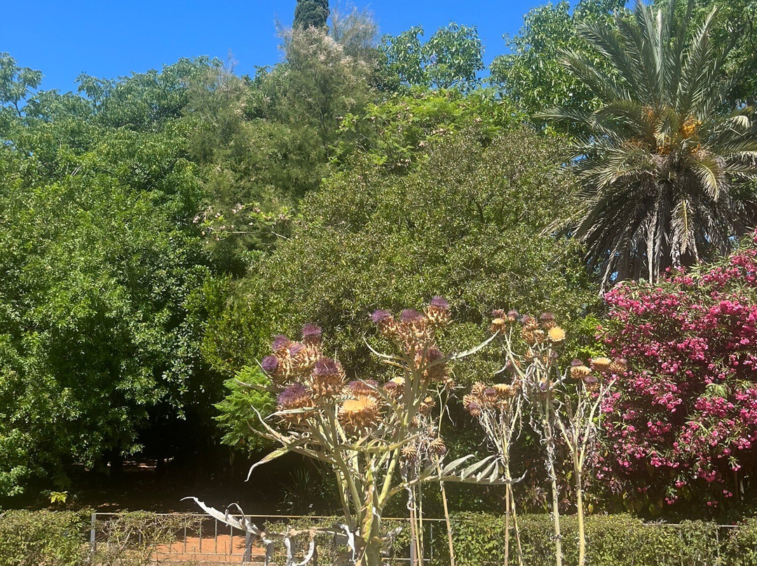 Botanical Garden San Fernando-圣费尔南多必去景点