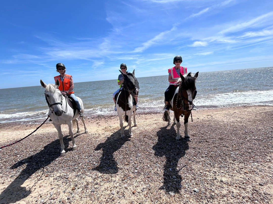 Pakefield Riding School-洛斯托夫特瓷必去景点