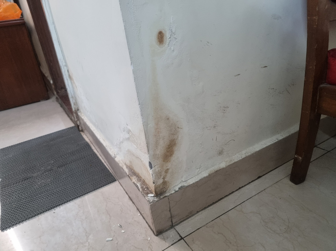 Hotel Batra Palace主图