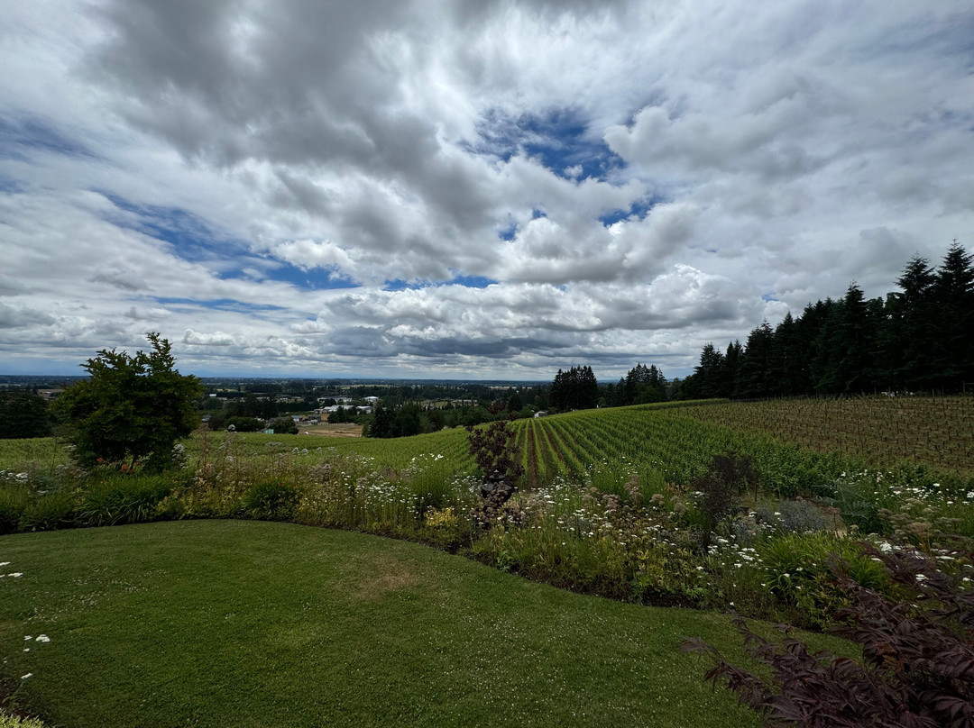 Bergstrom Wines景点图片