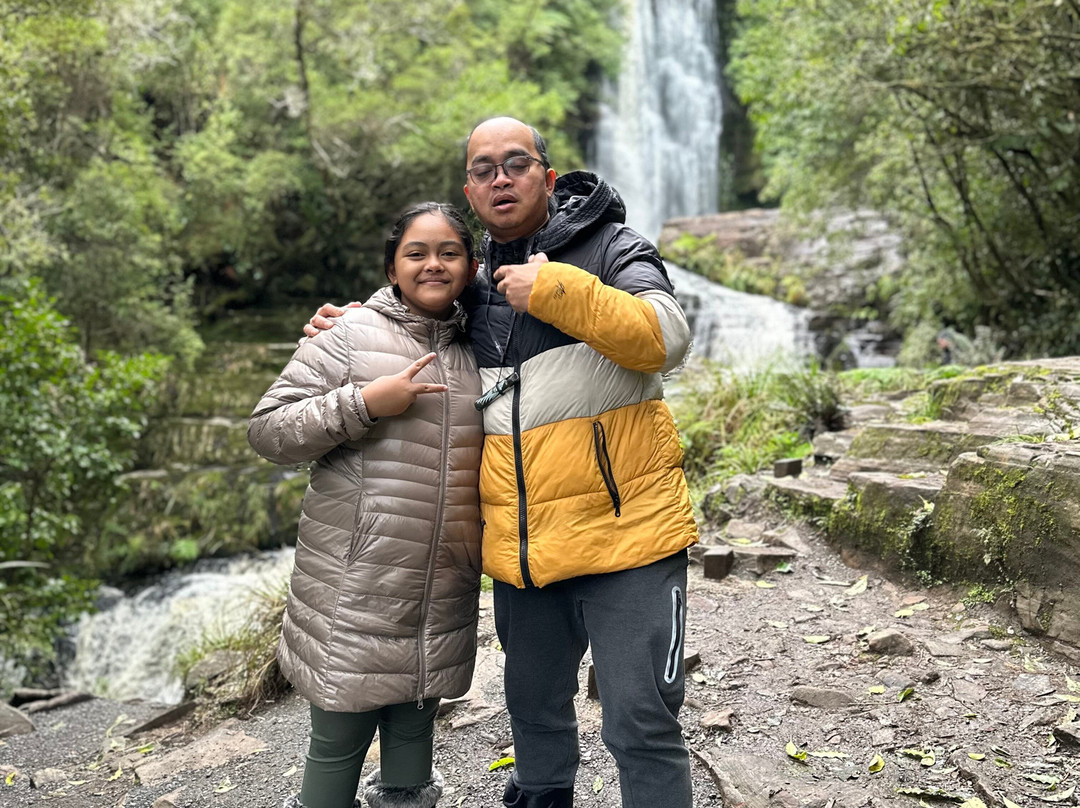 McLean Falls Walk景点图片