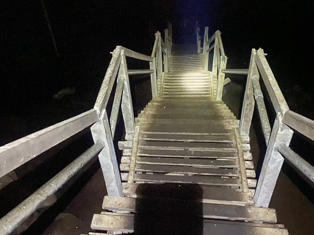 Gua Niah-美里必去景点