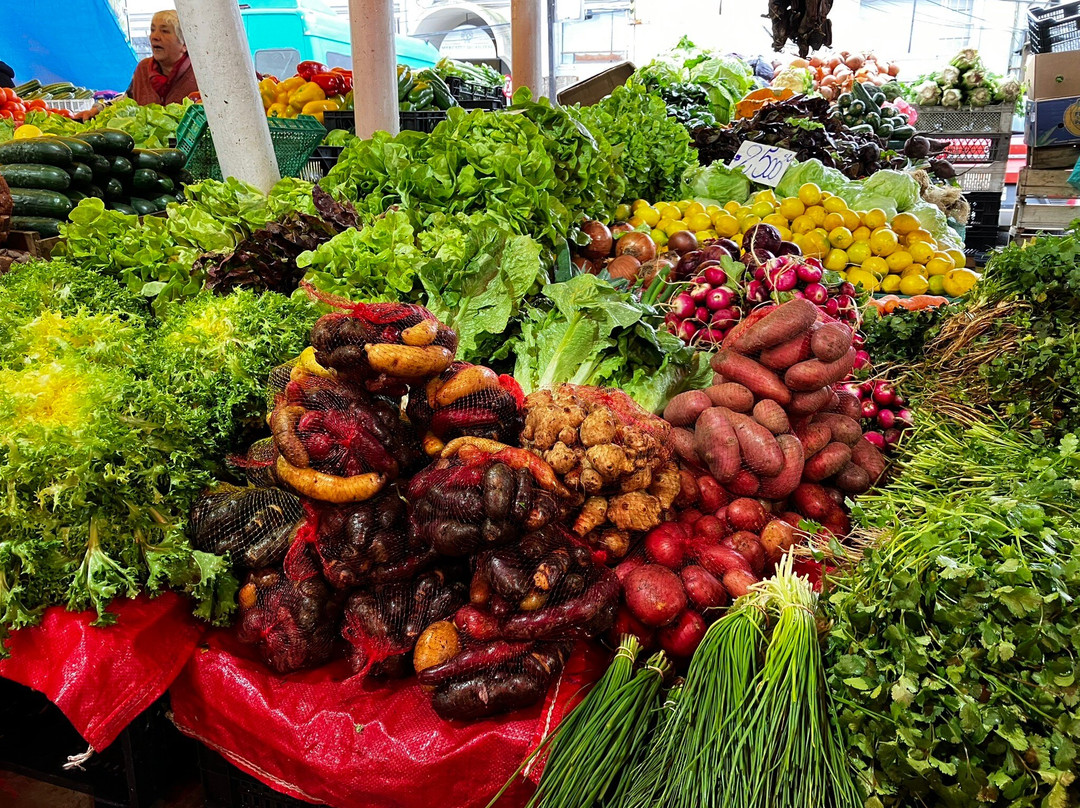 Feria Fluvial de Valdivia-瓦尔迪维亚必去景点