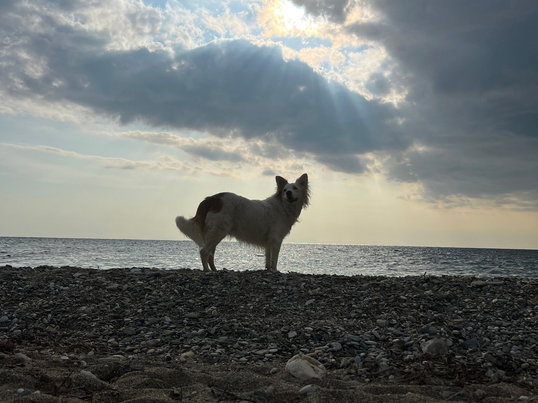 Marmaritsa Beach景点图片