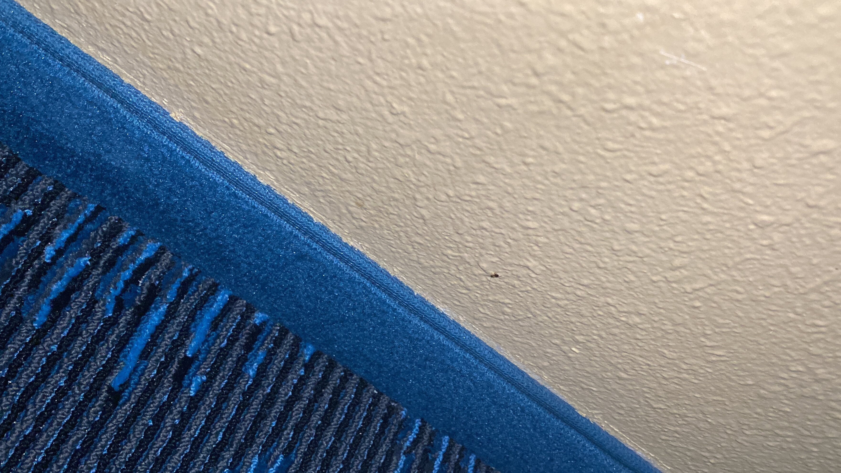 萨默塞特速8酒店-官方