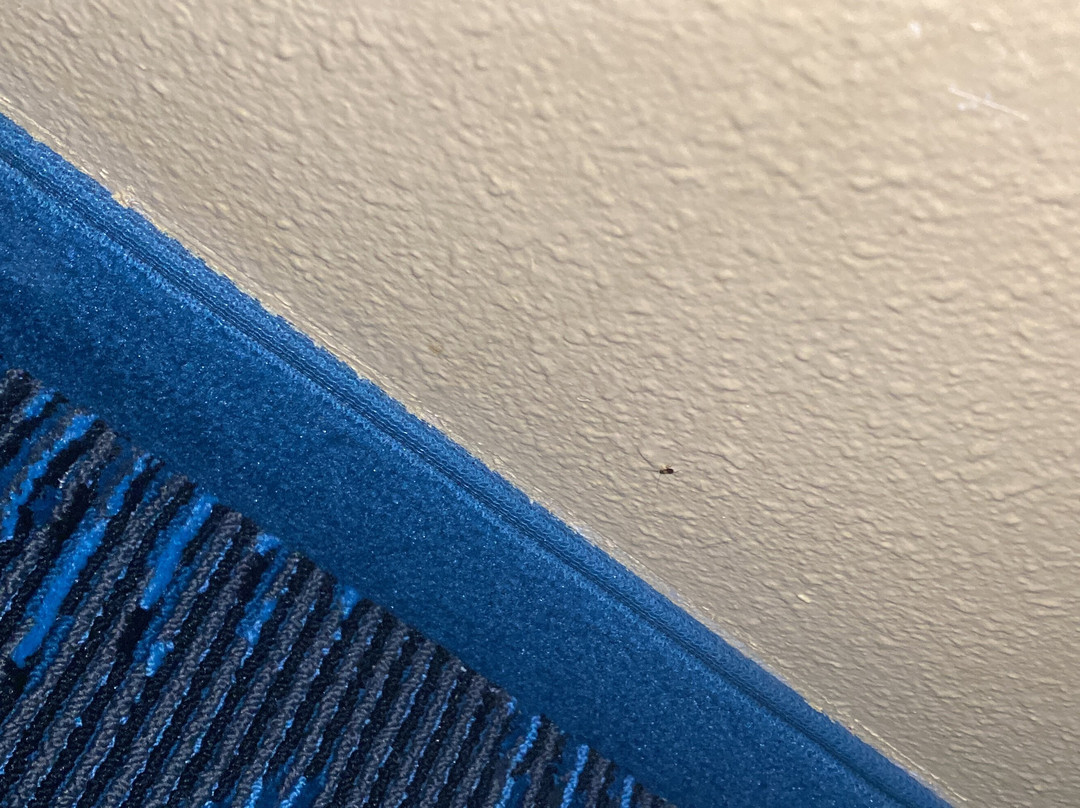 Super 8 by Wyndham Somerset主图