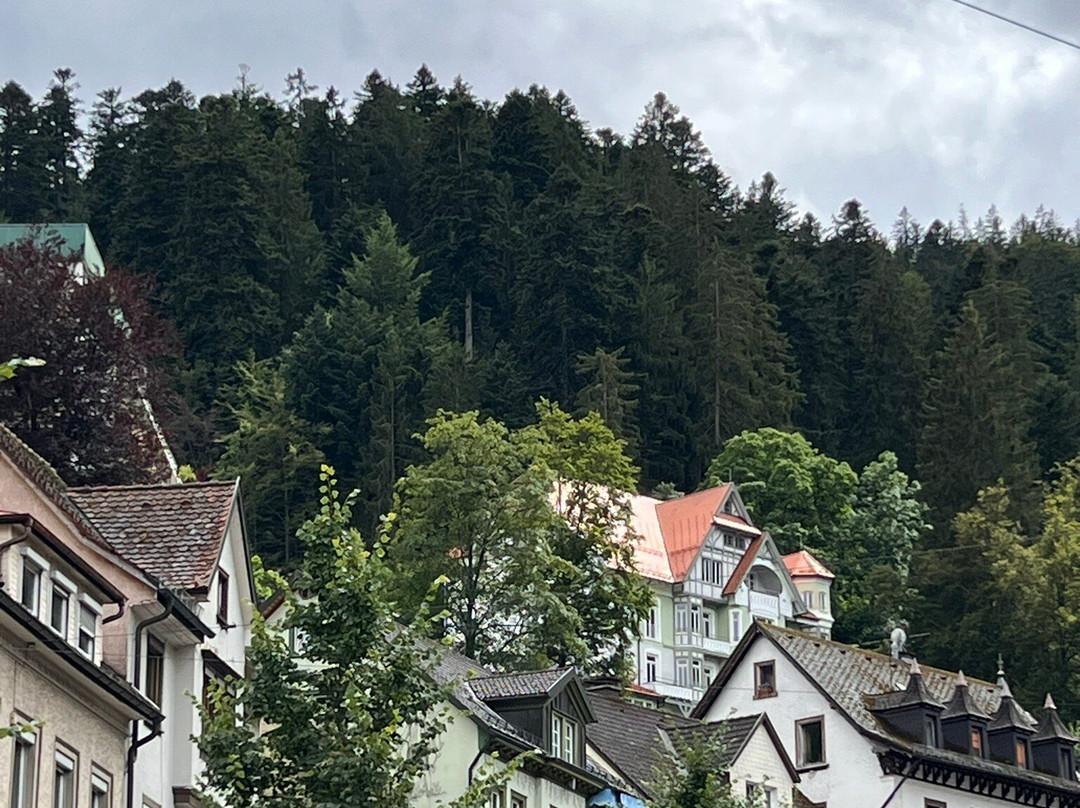 Triberg Waterfalls景点图片