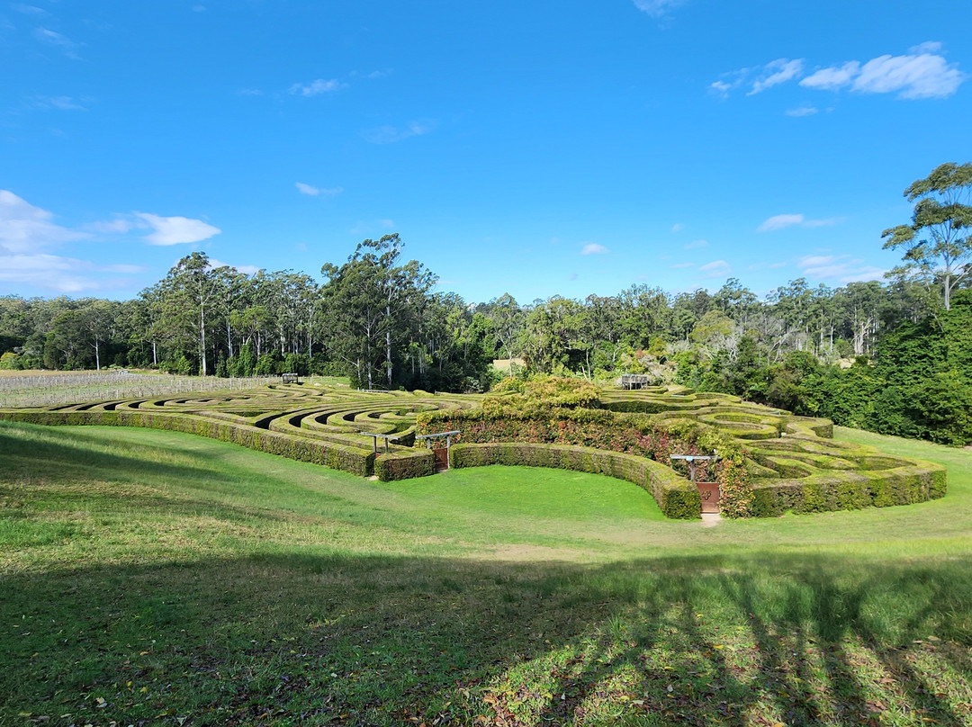 Bago Maze & Wine-Wauchope必去景点